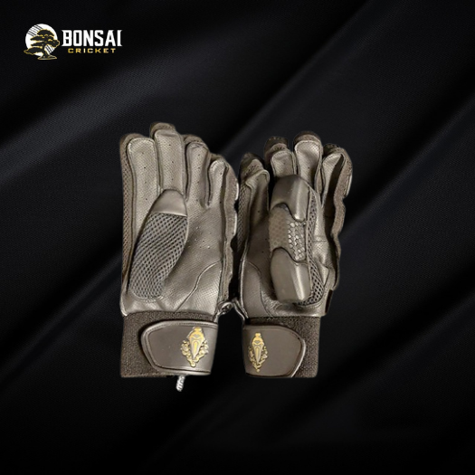 Premium Edition black .webp
